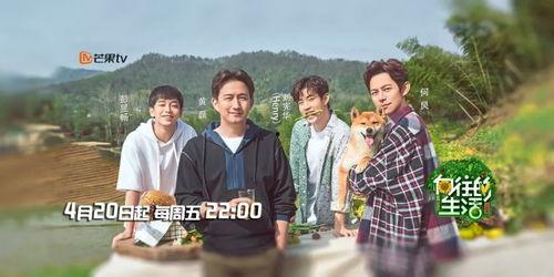 在线观看向往生活,共享美好时光——跟随向往生活探寻乡村魅力